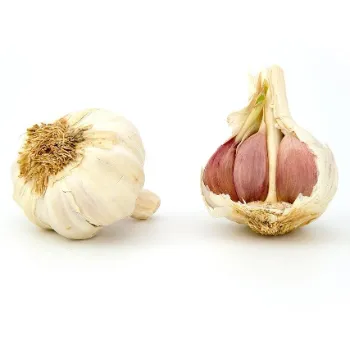 Organic Garlic
